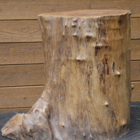 Tronc bois exotique - Exotic wood trunk